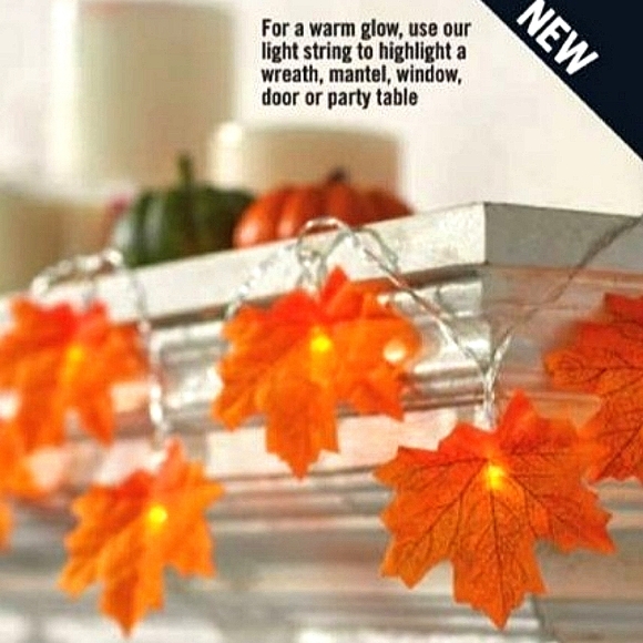 Harvest Leaves LED String Light - Picture 2 of 4